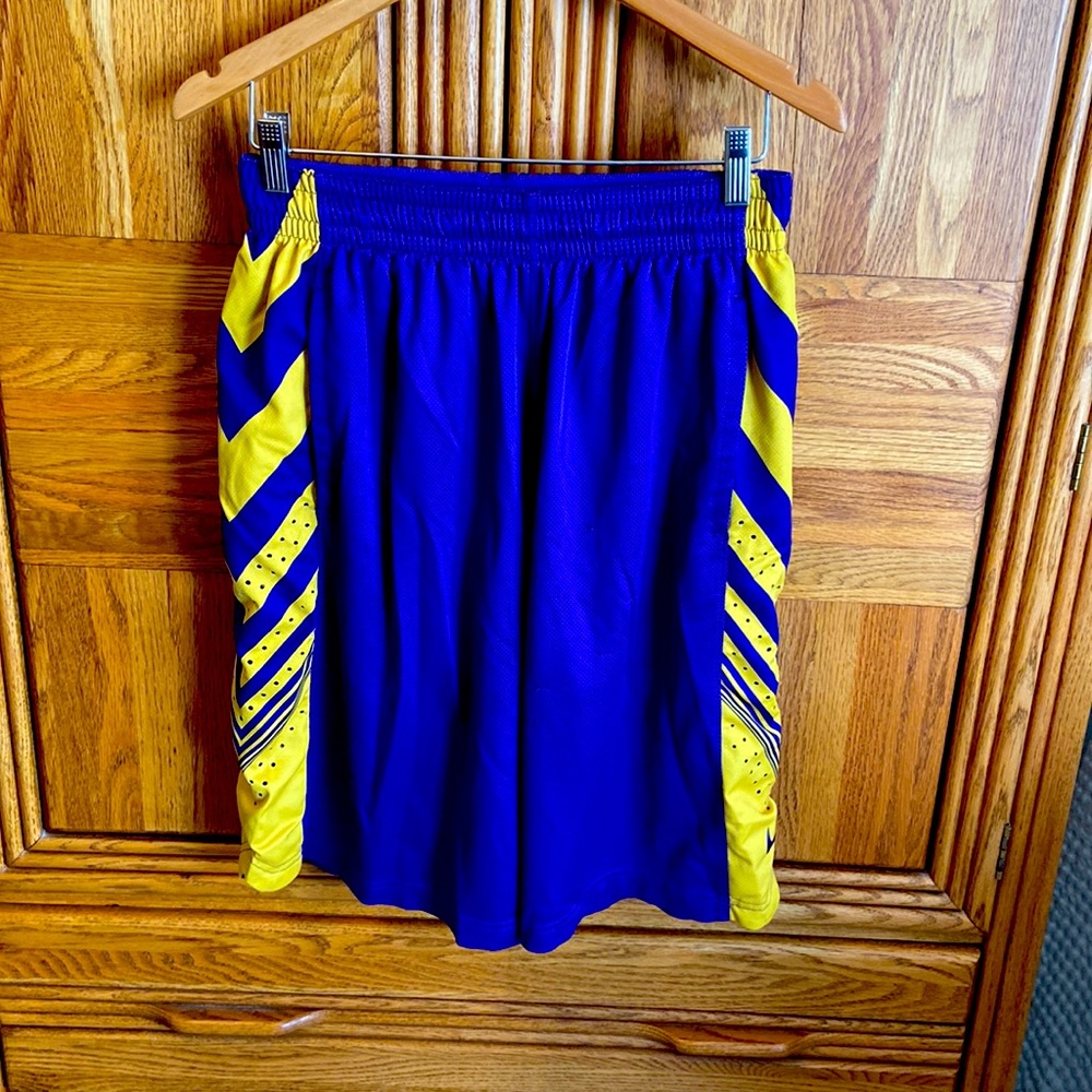 Large Purple and Gold Nike Shorts